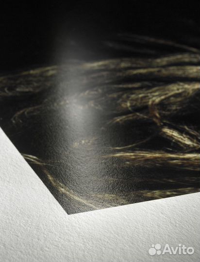 Фотобумага Hahnemühle Photo Rag Baryta А3