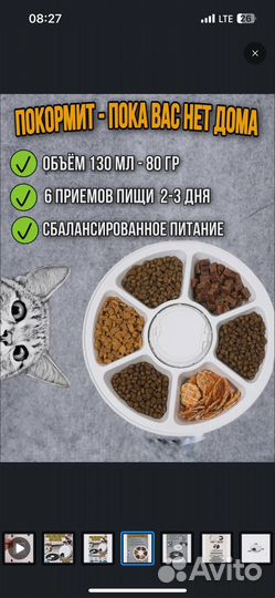 Автокормушка доя собак или кошек