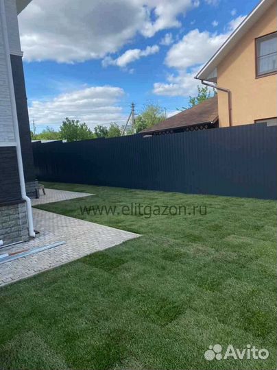 Укладка газона