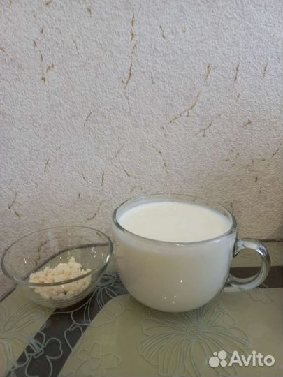 Кефирный гриб