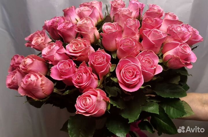 Розы с доставкой, букет роз 101