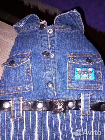 Собачий джинсовый комбинезон