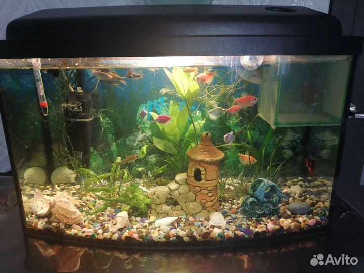 Аквариум 60л