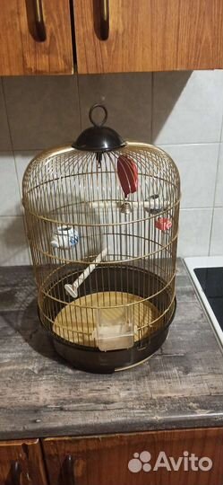 Клетка для попугая большая
