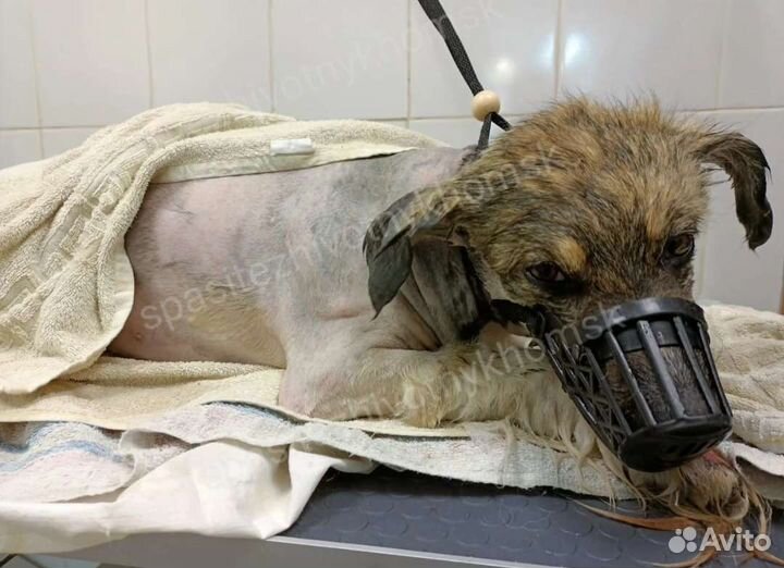 Необходима помощь