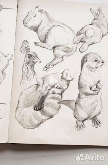 Рисую ваших питомцев