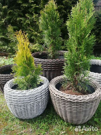 Корзины из ротанга