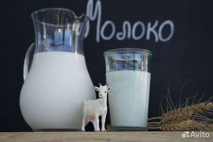 Молоко козье