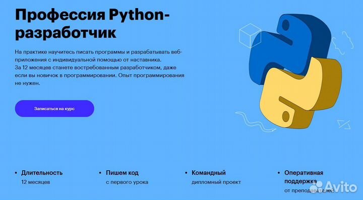 Профессия Python разработчик