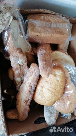 Хлеб для животных