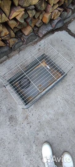 Клетка для грызунов