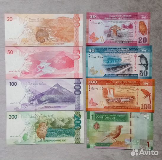 Животный мир на бонах Евразии