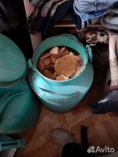 Хлеб на корм животным