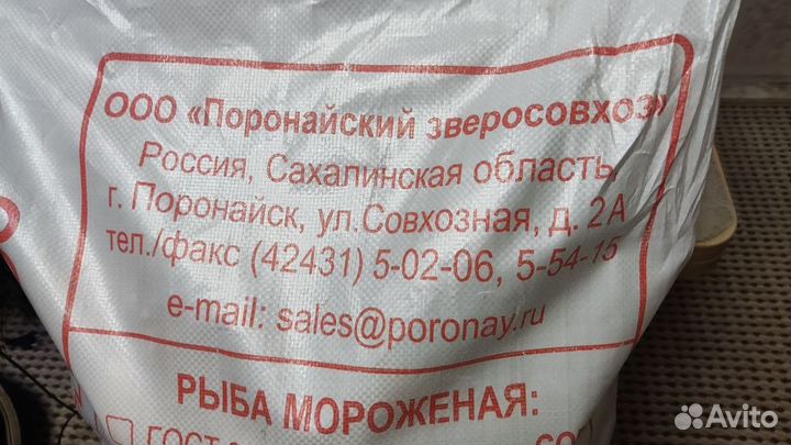 Навага