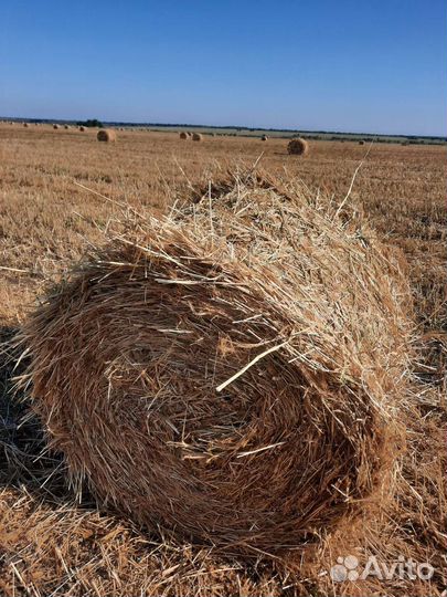 Солом в рулонах