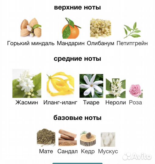 Molton brown flora luminare