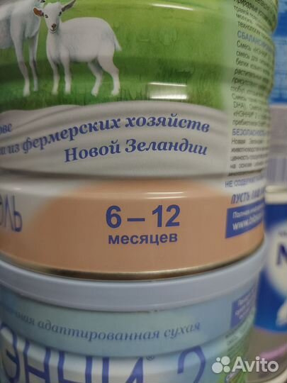 Нэнни 2, 800гр