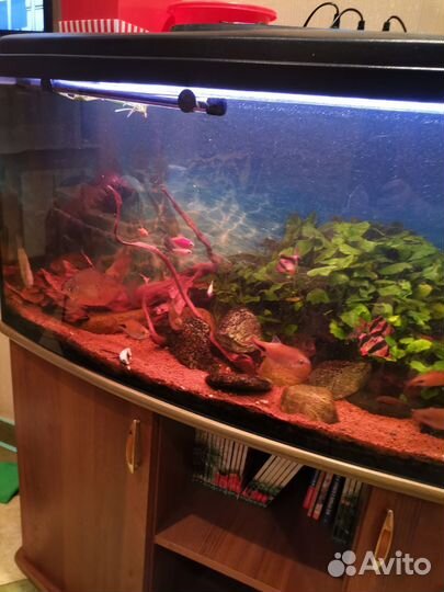 Аквариум с тумбой