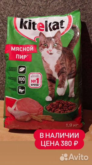 Сухой корм для кошек