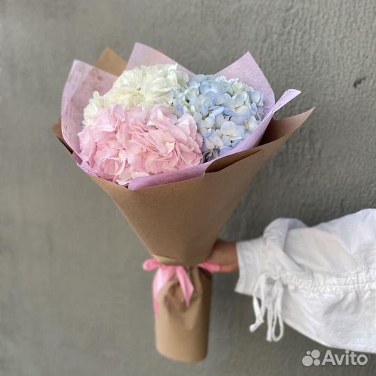 Гортензии, цветы Гортензии с доставкой