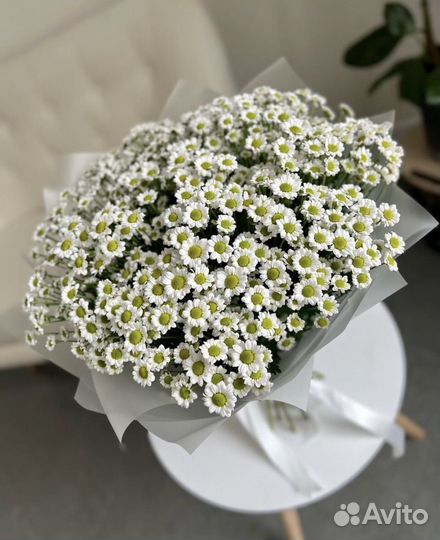 Букет из ромашек Сантини