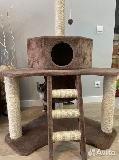 Домик когтеточка бу