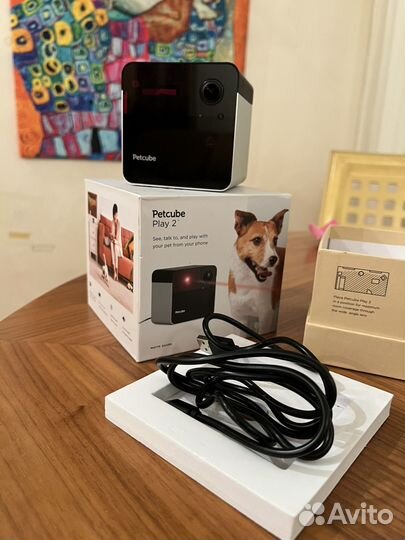 Видеоняня для животных Petcube