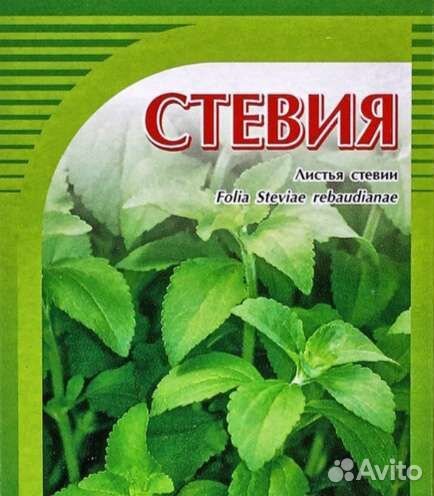 Растения стевия