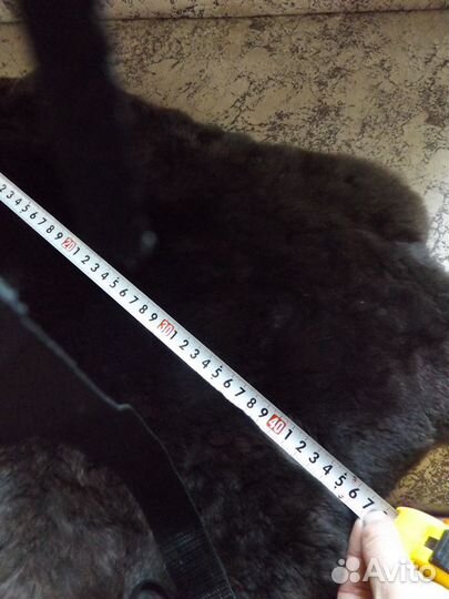 Шкурки кролика Reх (рекс)