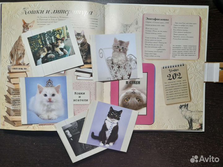 Книга про кошек