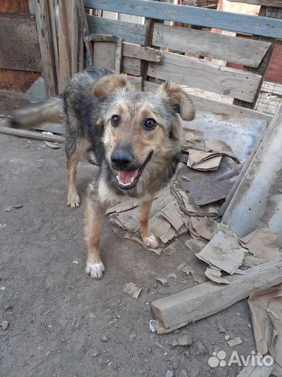 Стерилизованая девочка