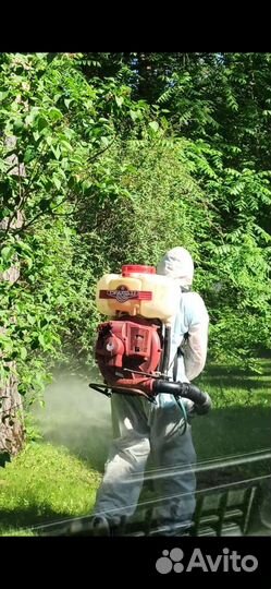 Обработка участков от клещей и комаров