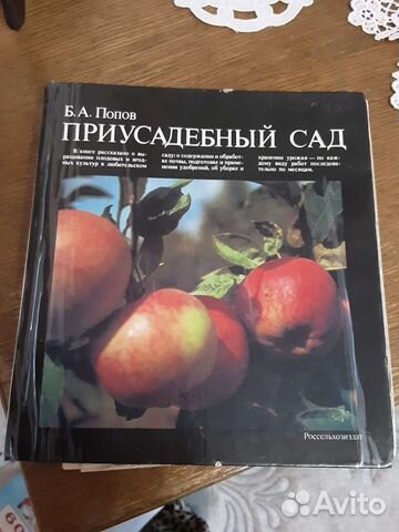 Книга Приусадебный сад