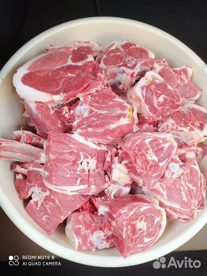 Бараны, Овцы