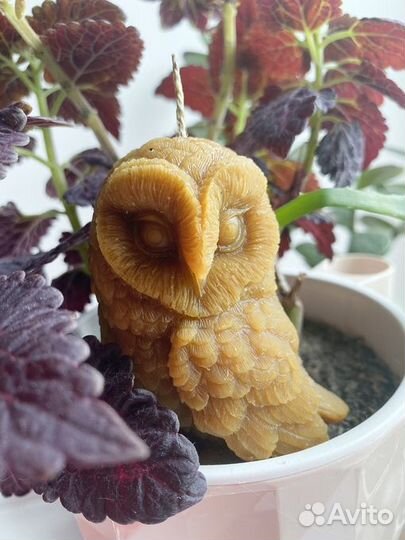 Свеча Сова большая