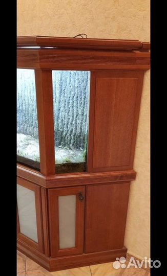 Аквариумные рыбки