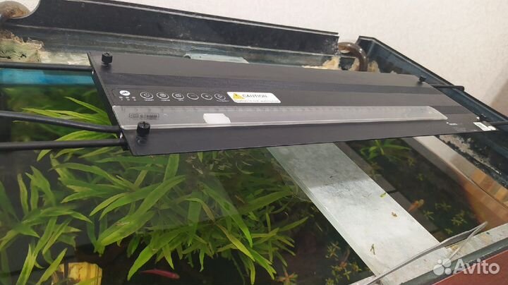 Светодиодный светильник nemolight plant