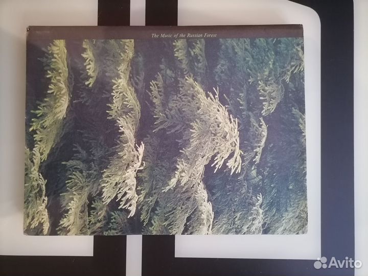 Мелодии русского леса