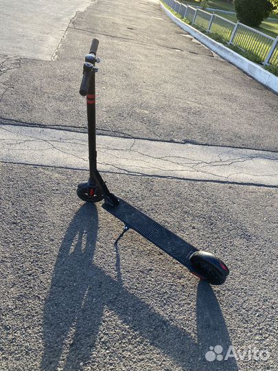 Электросамокат tribe