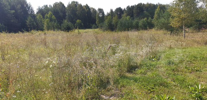 Участок 15 сот. (ИЖС)