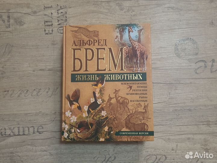 Энциклопедия 