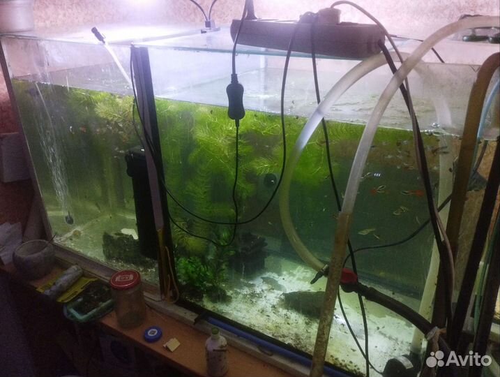 Аквариум 140 и 180 л / рыбки