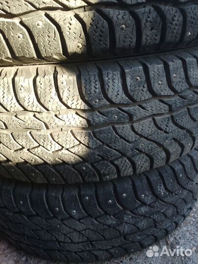 Viatti Bosco Nordico V-523 215/65 R16