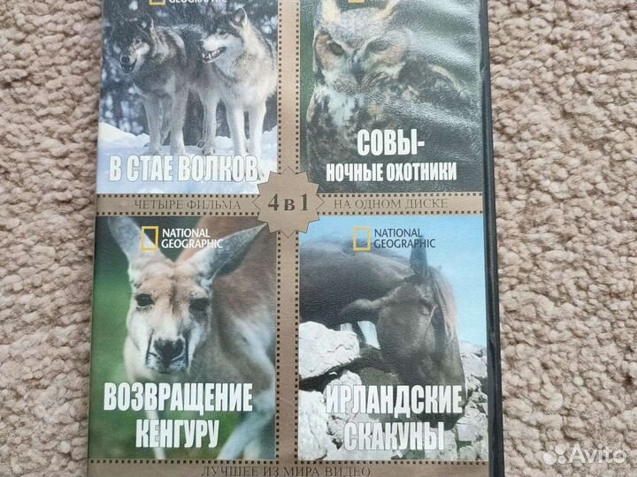 Dvd диски животные