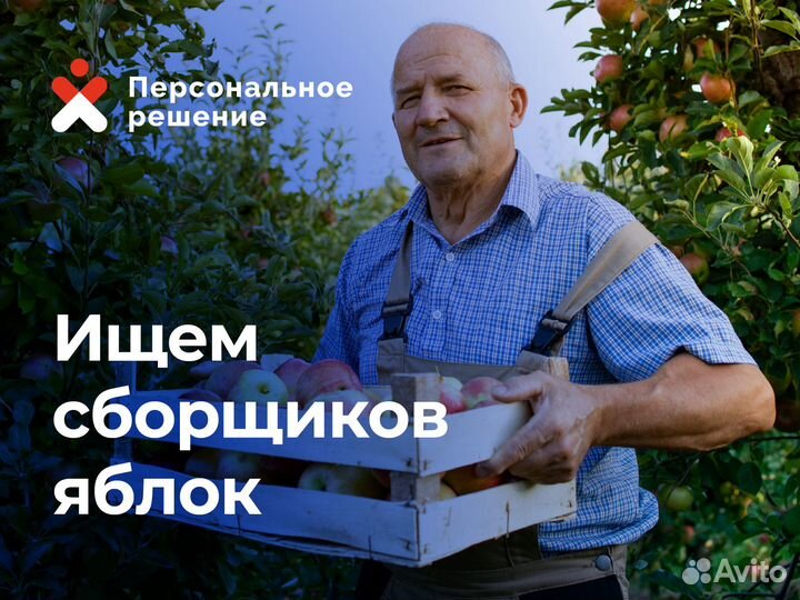 Сборщик яблок без опыта на Вахту в Липецк