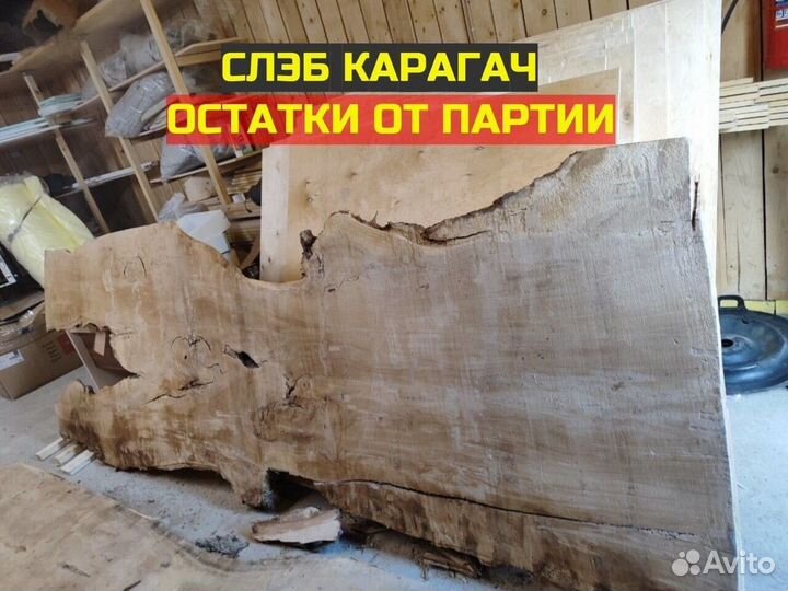 Слэбы и карагач арт. 174