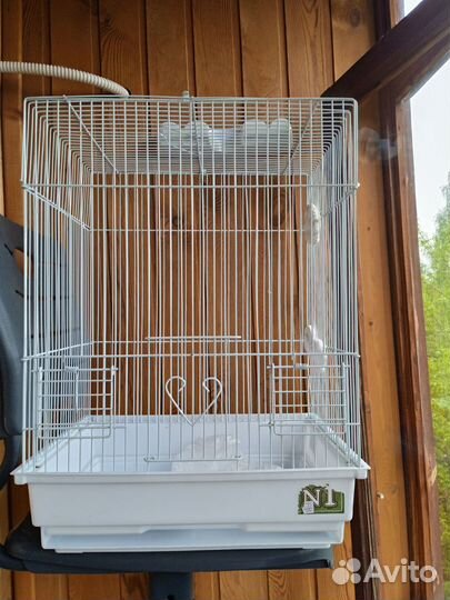 Клетка для волнистого попугая