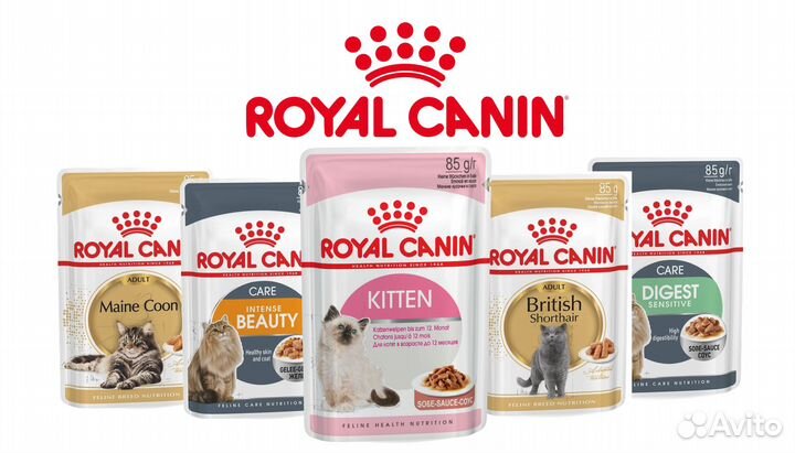 Роял Канин консервы для кошек и котят