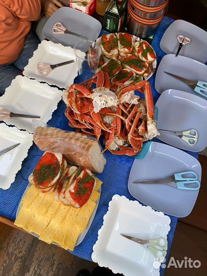 Морская прогулка с рыбалкой Камчатка