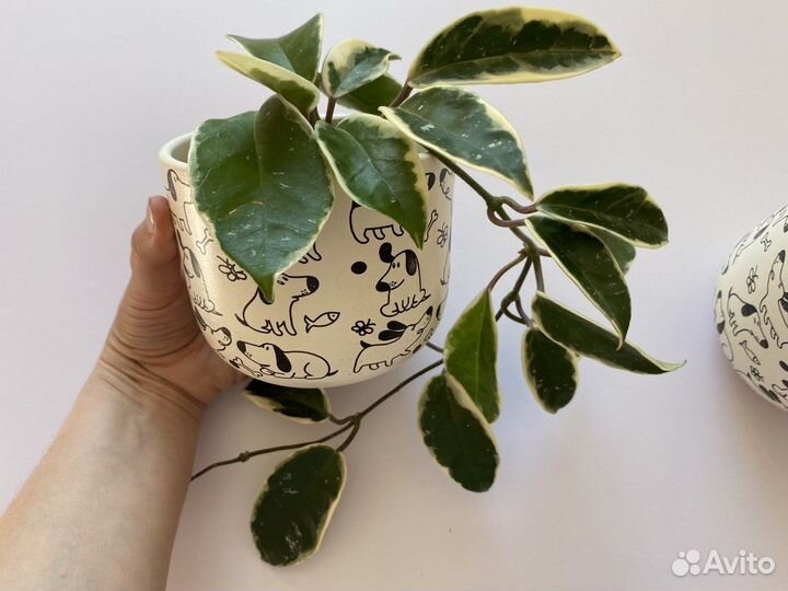 Горшок для цветов IKEA